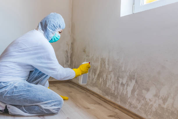 Hvac And Air Duct Mold Remediation inspection of HVAC system in Beverly